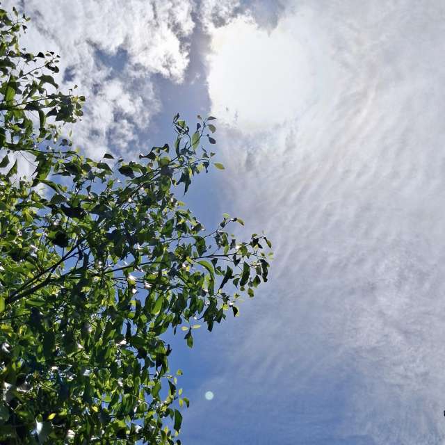 Fotos Colina. Previsões do tempo com lindas fotos de Wen-ya Huang em Kaohsiung City