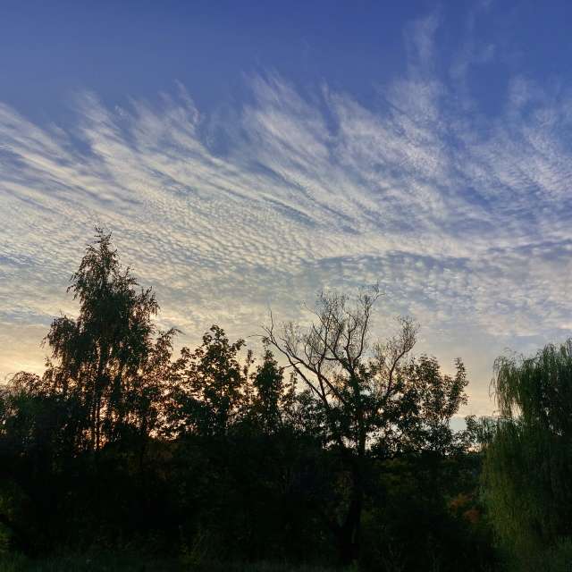 Dusk. Weather forecasts with beautiful photos by Iryna Photos in Kharkiv