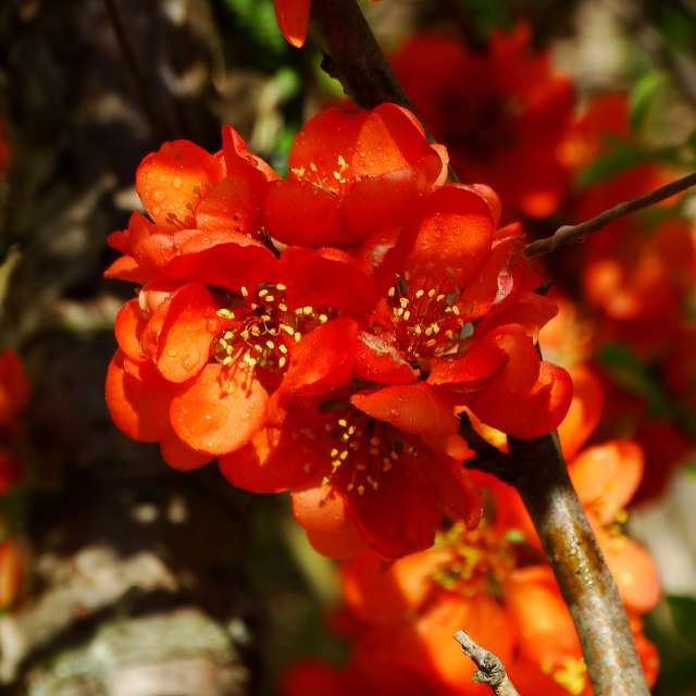 Vase. Weather forecasts with beautiful photos by Михаил Гавриков Photos in Kharkiv