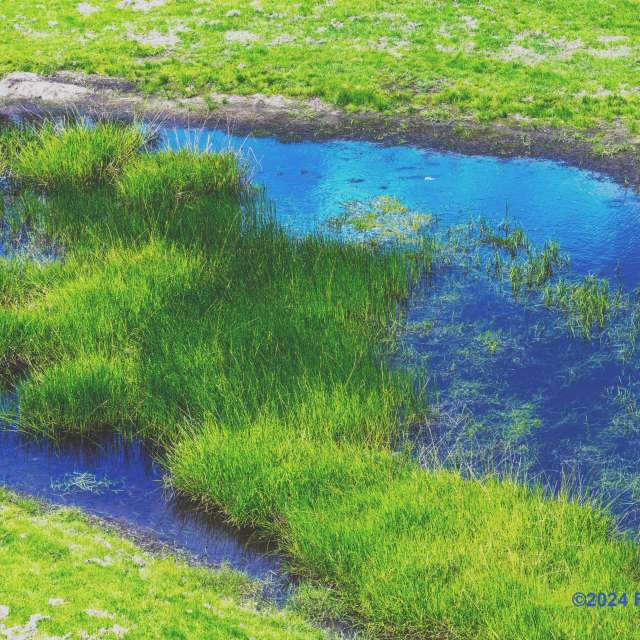 Weather forecasts with beautiful photos by Fon_Tunnissen