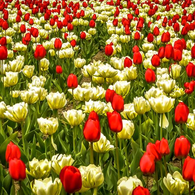 Hình ảnh Thời tiết ở Thế giới. Dự báo thời tiết với những bức ảnh đẹp của Geo23