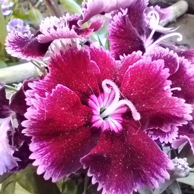 Previsões do tempo com lindas fotos de Ehab-Alatraqchi