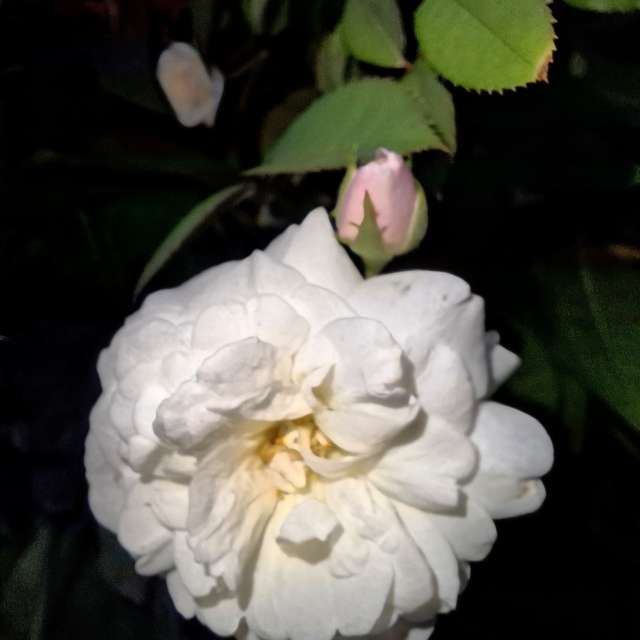 Room. Weather forecasts with beautiful photos by Wen-ya Huang Photos in Kaohsiung City