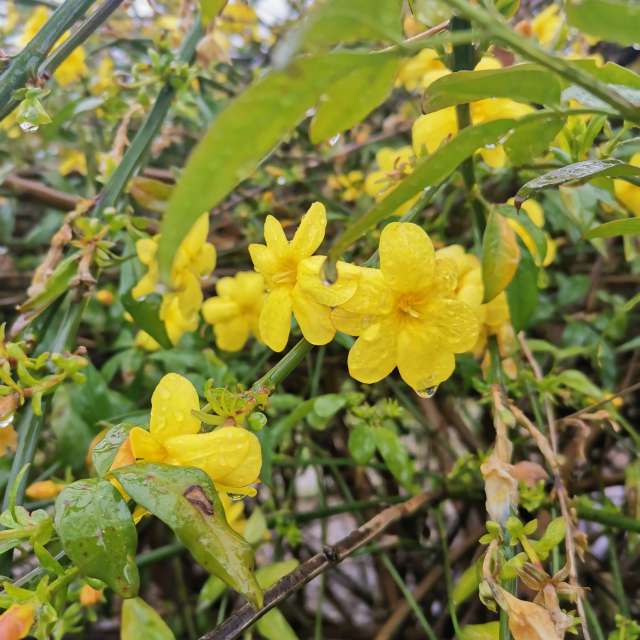 Fotos del Grupo. Pronósticos del tiempo con hermosas fotos de Albert_Smelovtsev en Sochi