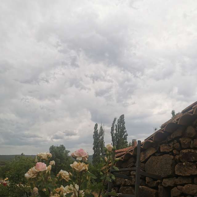 Weather forecasts with beautiful photos by CalligraphyELA