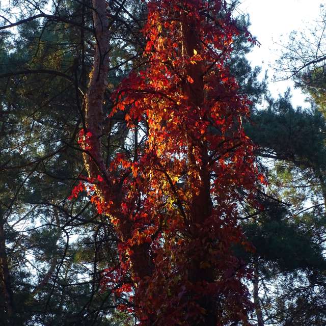 City. Weather forecasts with beautiful photos by Михаил Гавриков Photos in Kharkiv