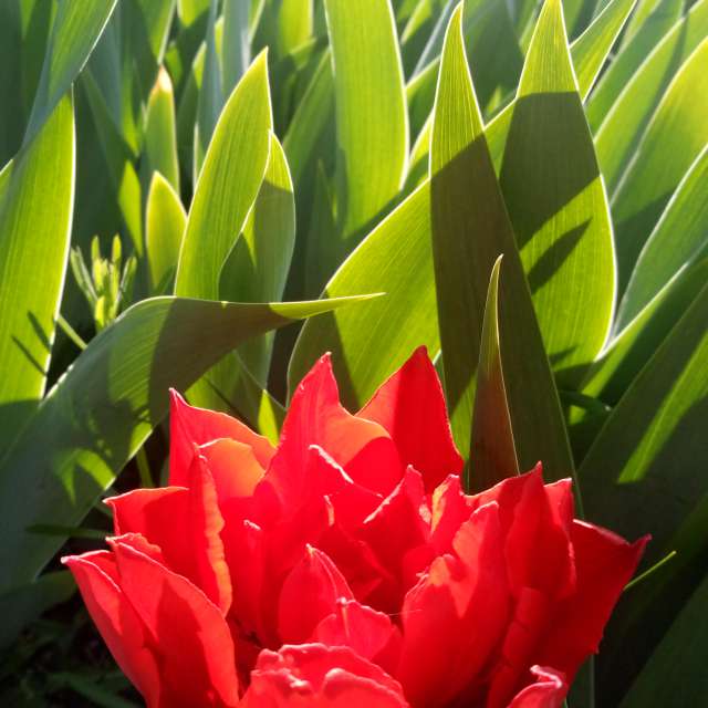 Weather forecasts with beautiful photos by BHE6E