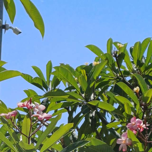 Dự báo thời tiết với những bức ảnh đẹp của Zaza