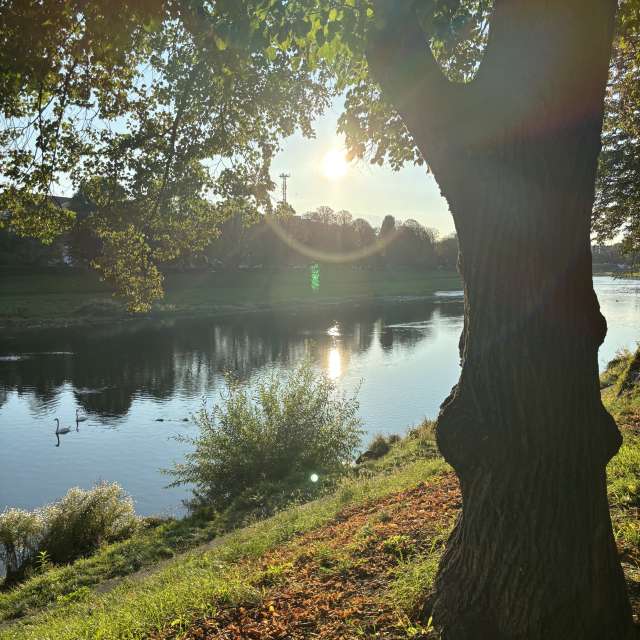 Fotos Summer. Previsões do tempo com lindas fotos de kriotis em Uzhgorod