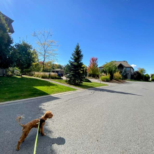 Walking. Weather forecasts with beautiful photos by Lulu5523 Photos in le Plateau