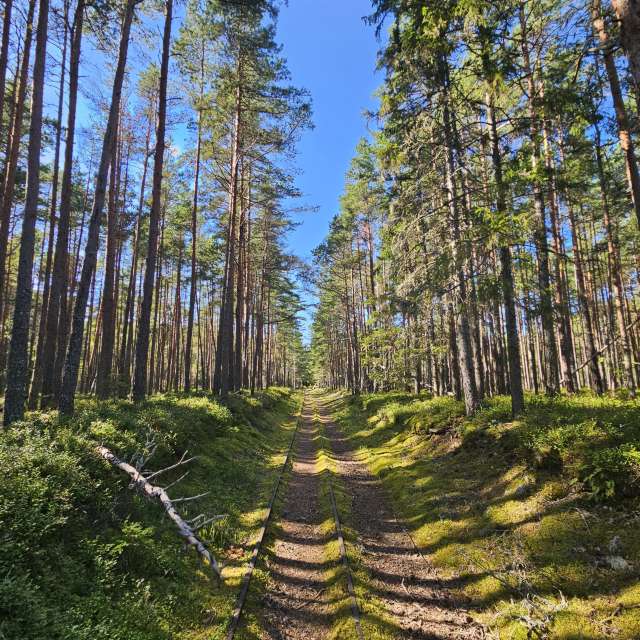 Prévisions météo avec de superbes photos de KatreKal
