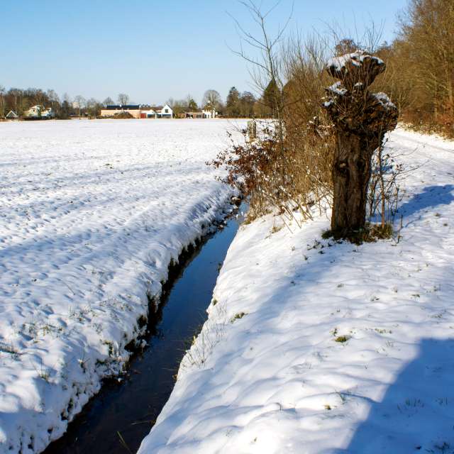 Weather forecasts with beautiful photos by Fon_Tunnissen
