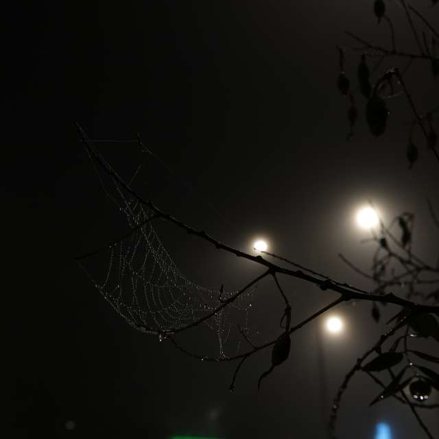 Fotos do tempo em Mundo. Previsões do tempo com lindas fotos de Vasek325