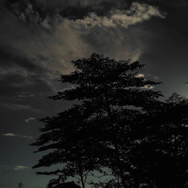 Weather Photos in World. Weather forecasts with beautiful photos by umemui