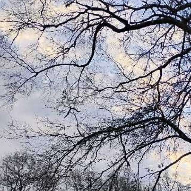 Wettervorhersagen mit schönen Fotos von Awcat