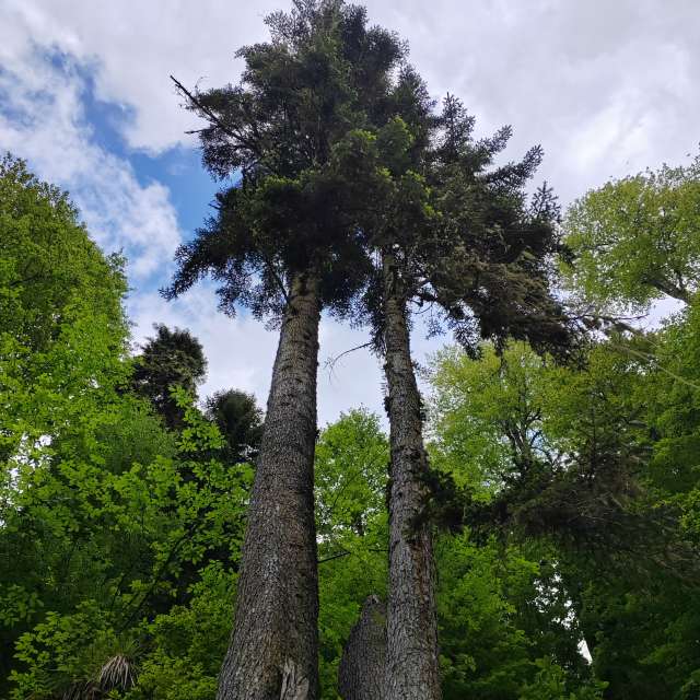 Grassy. Weather forecasts with beautiful photos by Albert_Smelovtsev Photos in Roza Khutor