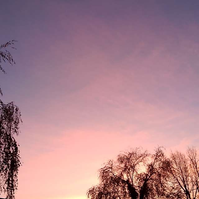 D-I-Eの美しい写真による天気予報