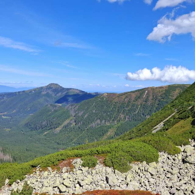 Weather forecasts with beautiful photos by steve2025s