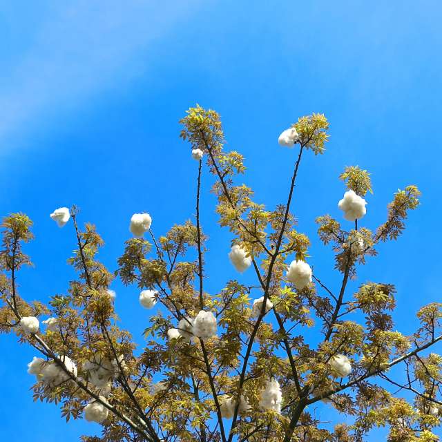 Weather forecasts with beautiful photos by Takimi-sky