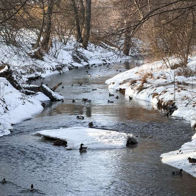 Прогнозы погоды с чудесными фотографиями, сделанными LMukasz