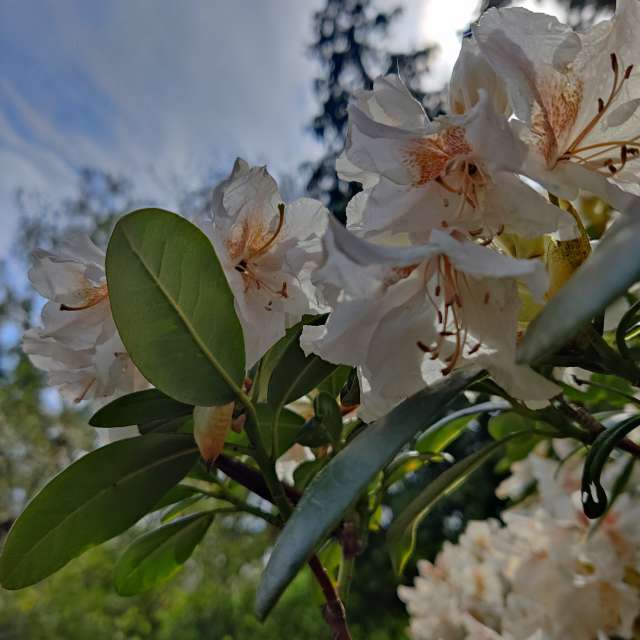 Fotos Abordado. Previsões do tempo com lindas fotos de Zorrra em Kladow