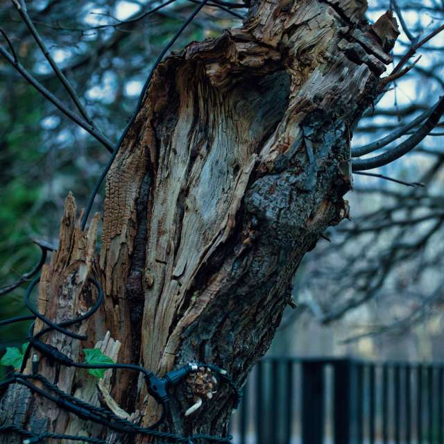 Weather forecasts with beautiful photos by martinm611