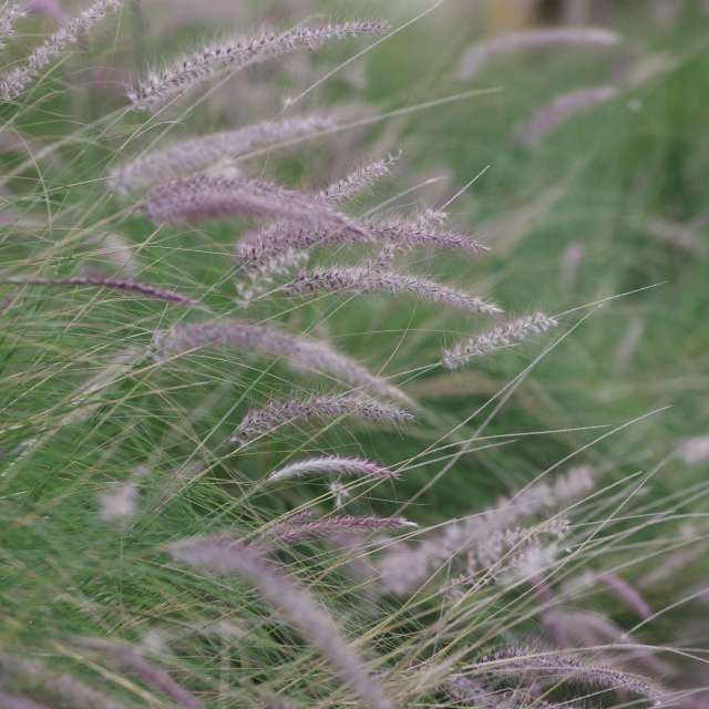 Weather forecasts with beautiful photos by xhhx