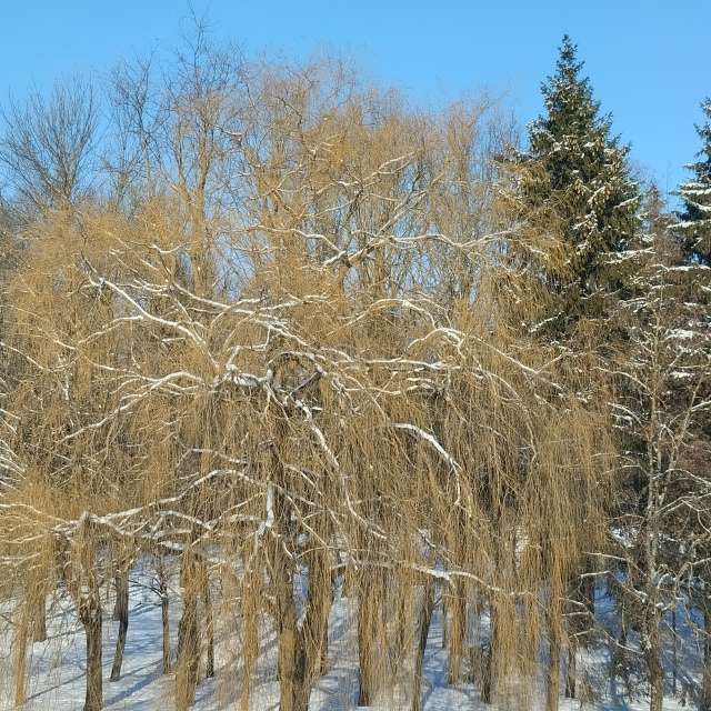 天气预报，带Helo_Sam精美的照片