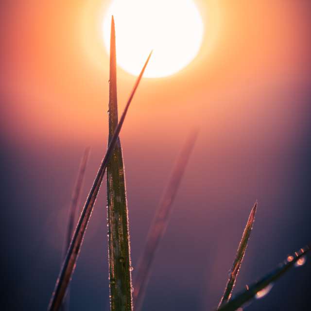 Previsões do tempo com lindas fotos de Li-Bro
