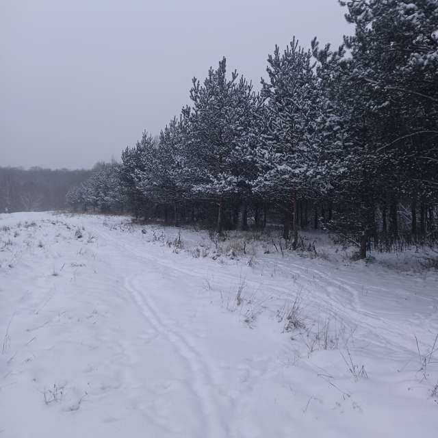 Group. Weather forecasts with beautiful photos by Amanda_and_Valdemar_Che Photos in Izmaylovo District