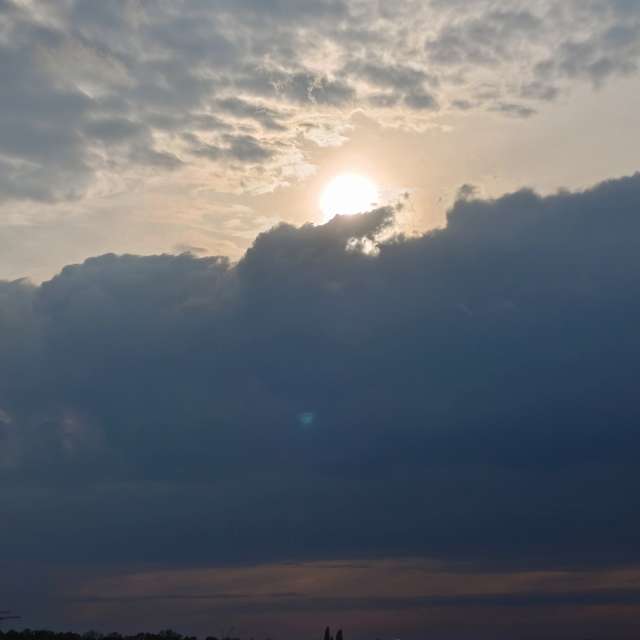 Fotos A lei. Previsões do tempo com lindas fotos de Михаил Бондаренко em Pionerskiy