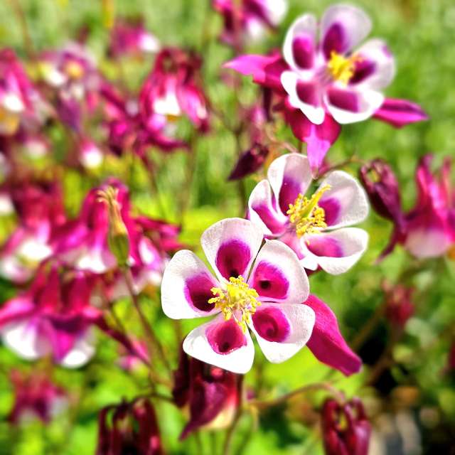 Фото Bank. Прогнозы погоды с чудесными фотографиями, сделанными Seni в Фельберт