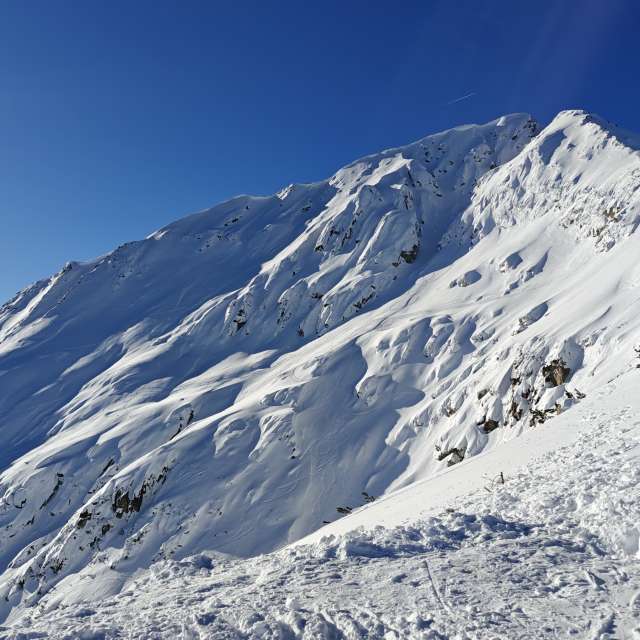 天气预报，带Rosiii精美的照片