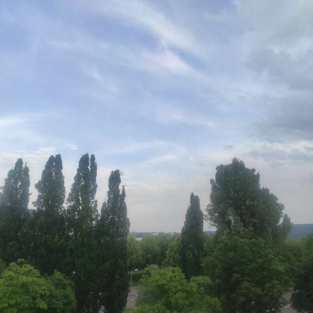 Hill. Weather forecasts with beautiful photos by Tercis Photos in Ettlingen