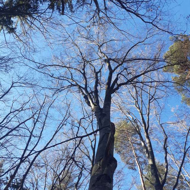 Prévisions météo avec de superbes photos de Florabresler