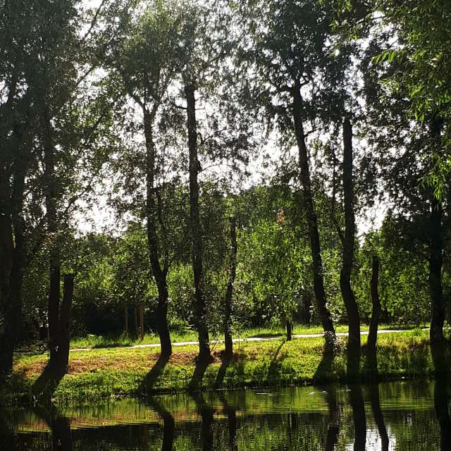 Previsões do tempo com lindas fotos de tipgol