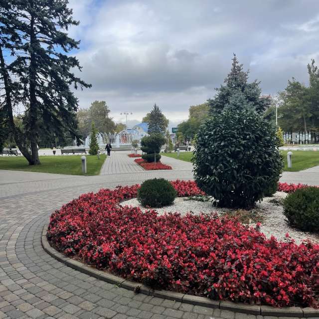 Pronósticos del tiempo con hermosas fotos de Vera22