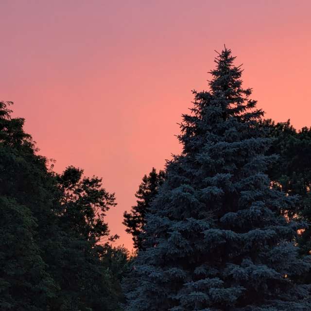 Weather forecasts with beautiful photos by Karp88