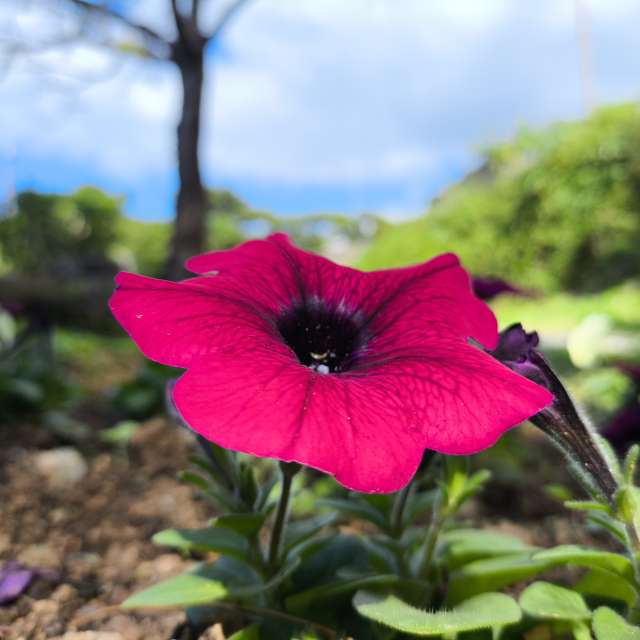Previsões do tempo com lindas fotos de Takimi-sky