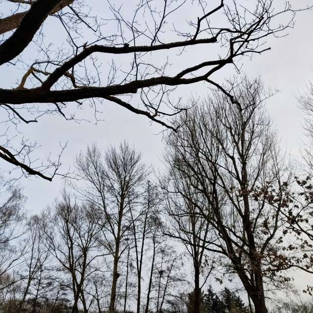 天气预报，带Gaucho精美的照片