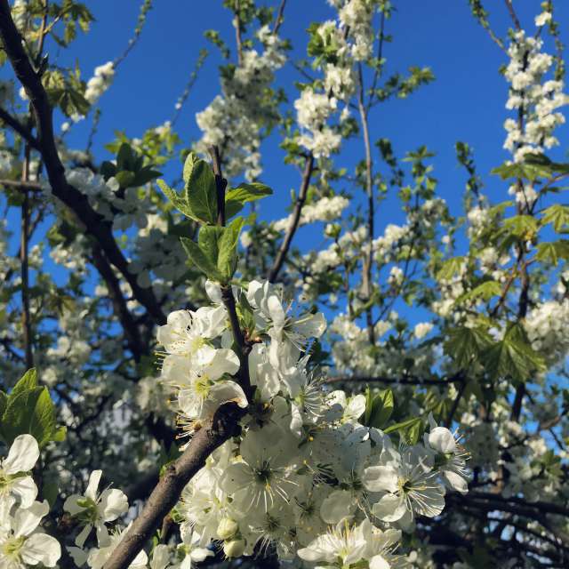 Weather forecasts with beautiful photos by yuliia88888888