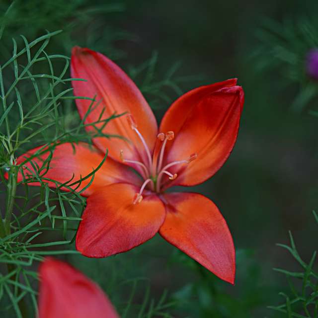 Spring. Weather forecasts with beautiful photos by tony5636 Photos in World