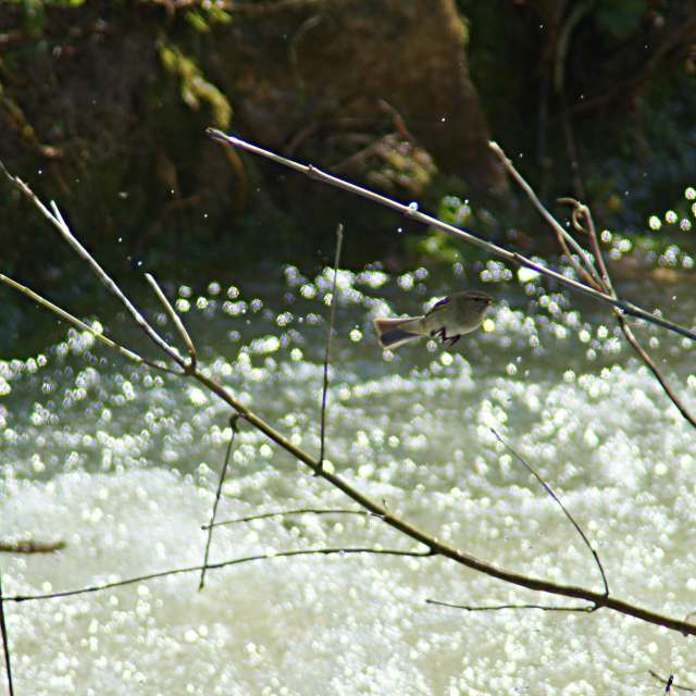 Field. Weather forecasts with beautiful photos by tony5636 Photos in Calvisson
