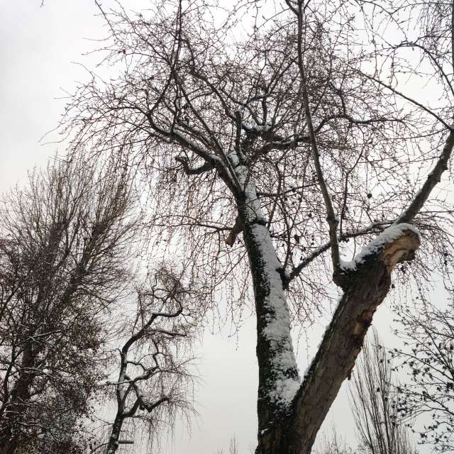 Прогнозы погоды с чудесными фотографиями, сделанными Zorrra