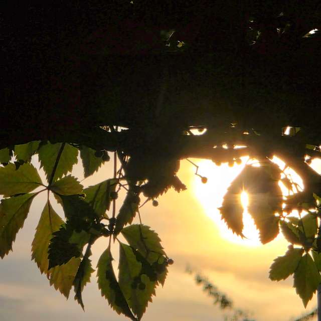 Seniの美しい写真による天気予報