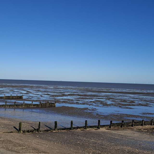 Lolliの美しい写真による天気予報