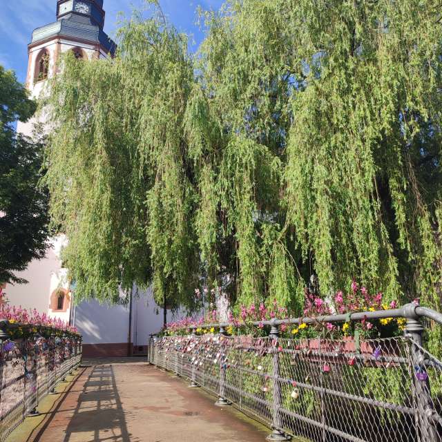Long. Weather forecasts with beautiful photos by Tercis Photos in Ettlingen
