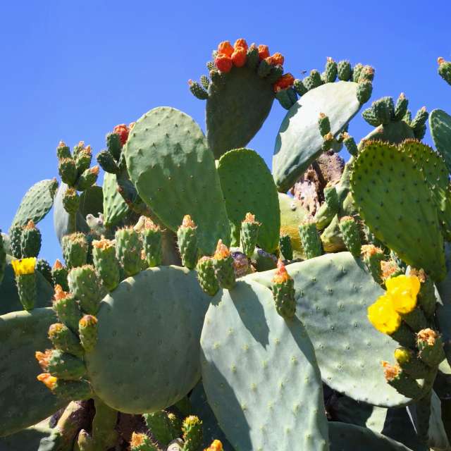 Fotos Clima. Previsões do tempo com lindas fotos de Rüdiger Rahm em Malia