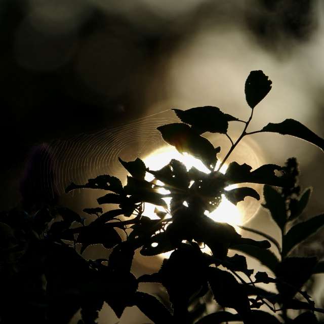 Fotos do tempo em Mundo. Previsões do tempo com lindas fotos de Vasek325