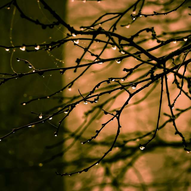 Photos Pluie. Prévisions météo avec de superbes photos de Miloš_SK de Sereď